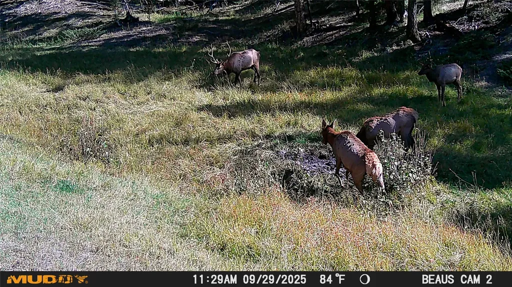 Lot 5 Ruby Mine Road Butte MT 59701