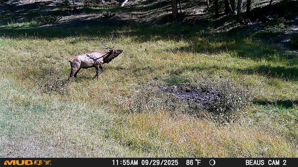Lot 5 Ruby Mine Road Butte MT 59701