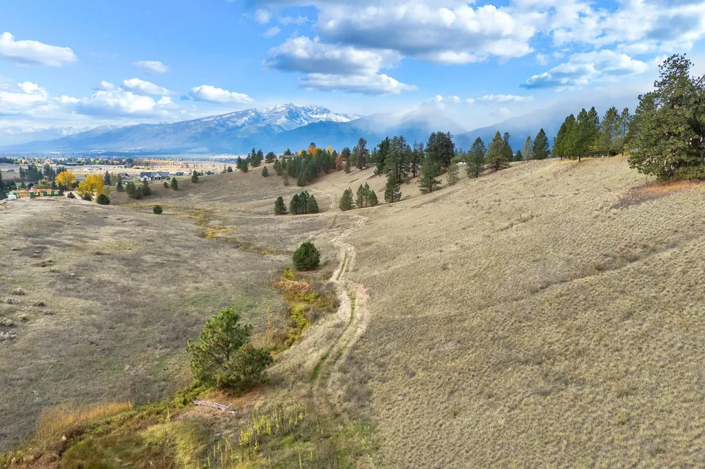 205 Barnwood Way Stevensville MT 59870