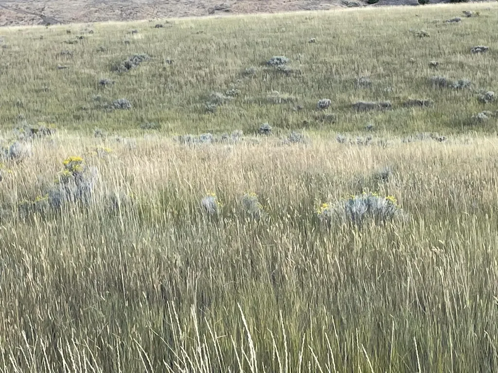 Tbd S Fork Ray Creek Road Townsend MT 59644