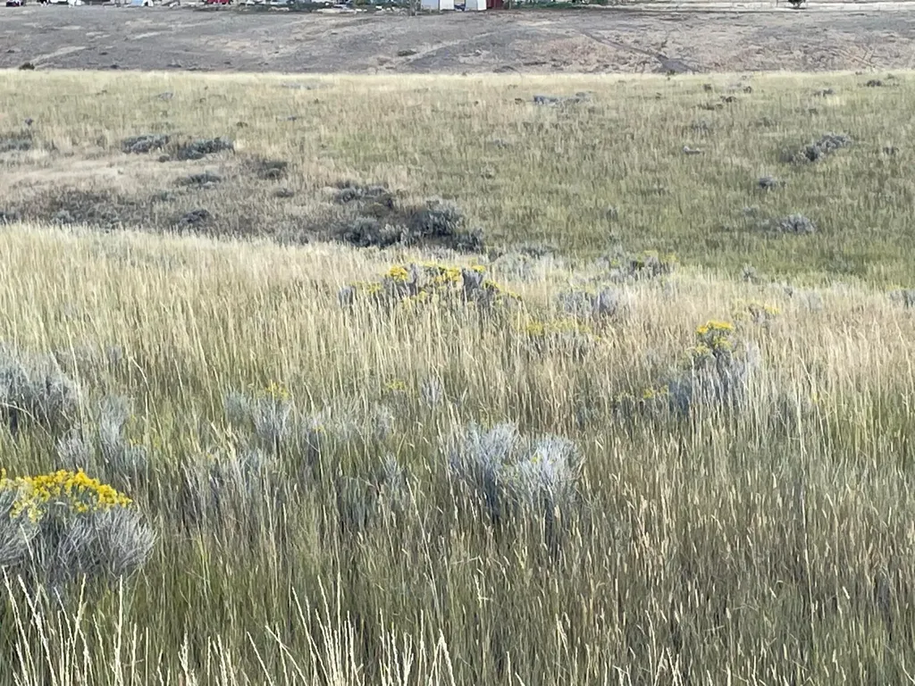 Tbd S Fork Ray Creek Road Townsend MT 59644
