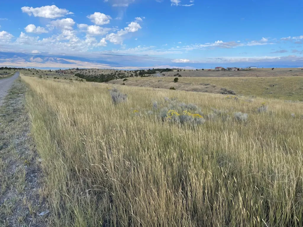 Tbd S Fork Ray Creek Road Townsend MT 59644