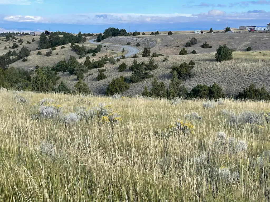 Tbd S Fork Ray Creek Road Townsend MT 59644