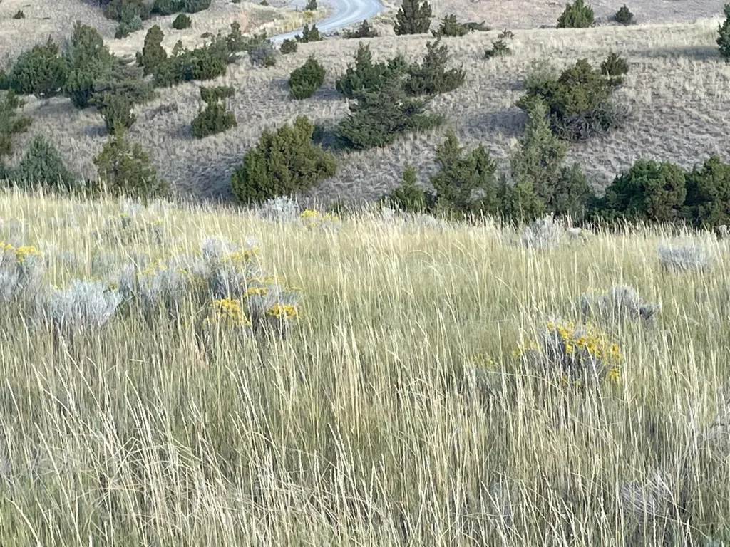 Tbd S Fork Ray Creek Road Townsend MT 59644