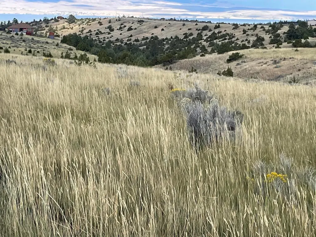 Tbd S Fork Ray Creek Road Townsend MT 59644