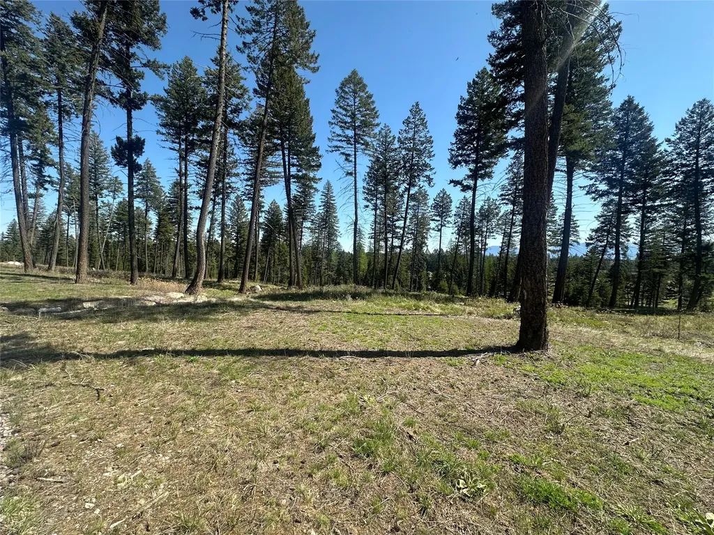 365 Layton Road Whitefish MT 59937