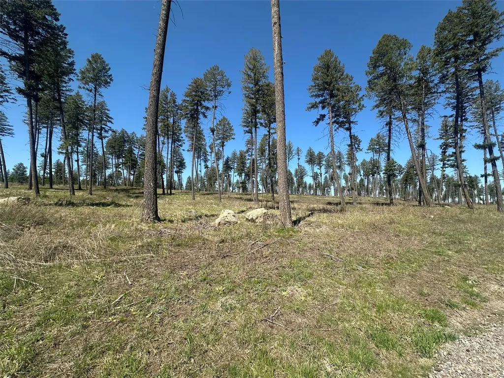 365 Layton Road Whitefish MT 59937