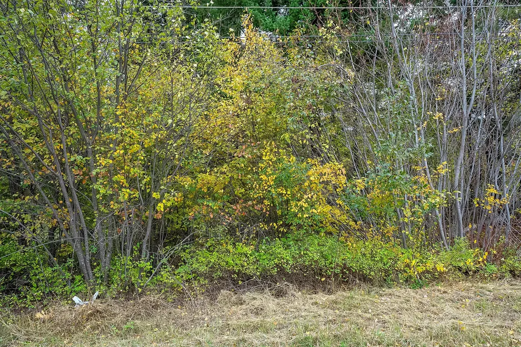 1327 1st Avenue E Columbia Falls MT 59912