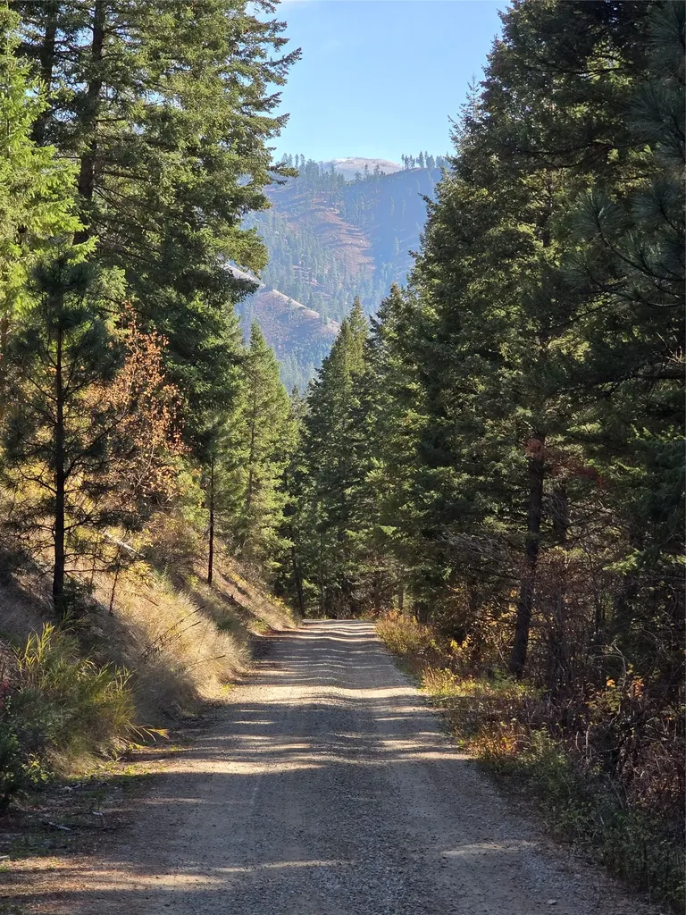 Nhn Baker Trail Road Darby MT 59829