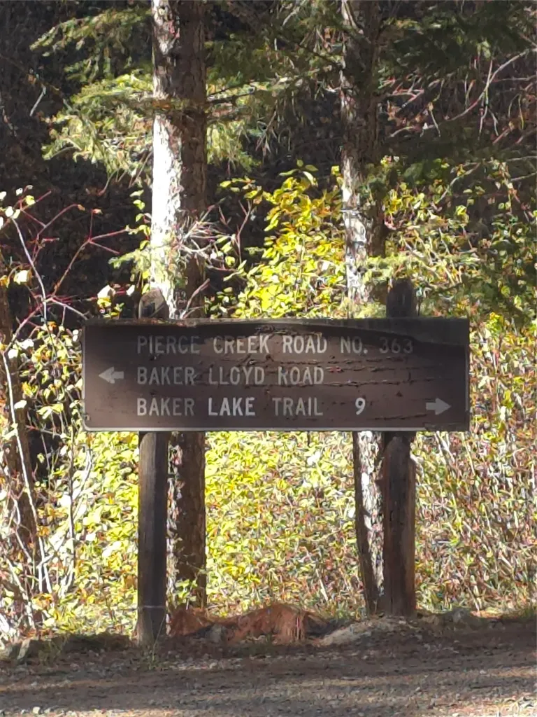 Nhn Baker Trail Road Darby MT 59829