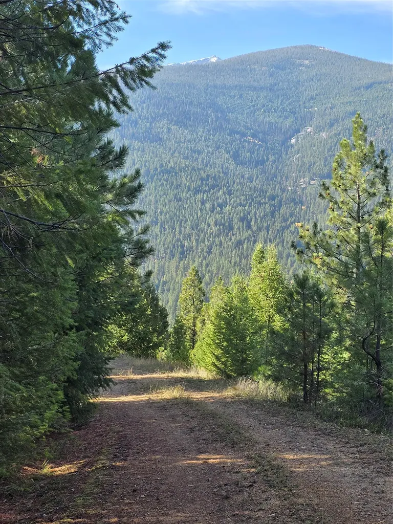 Nhn Baker Trail Road Darby MT 59829