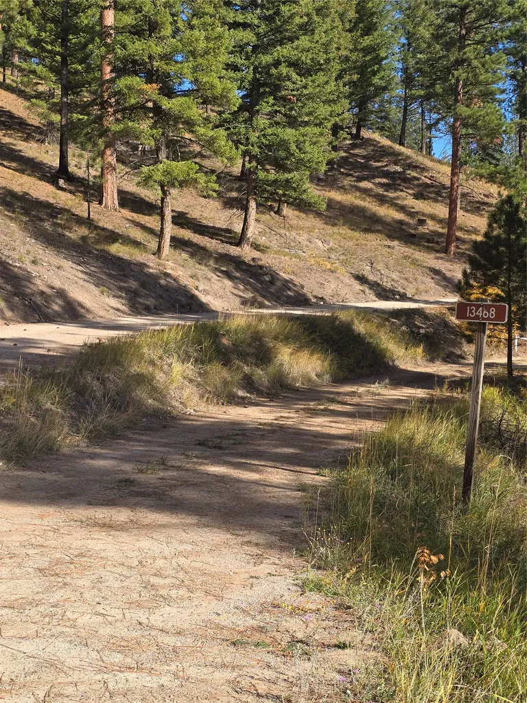 Nhn Baker Trail Road Darby MT 59829