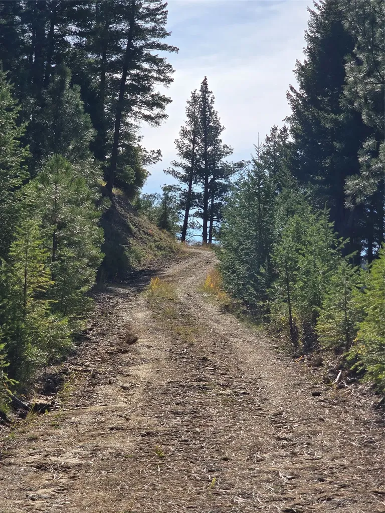 Nhn Baker Trail Road Darby MT 59829