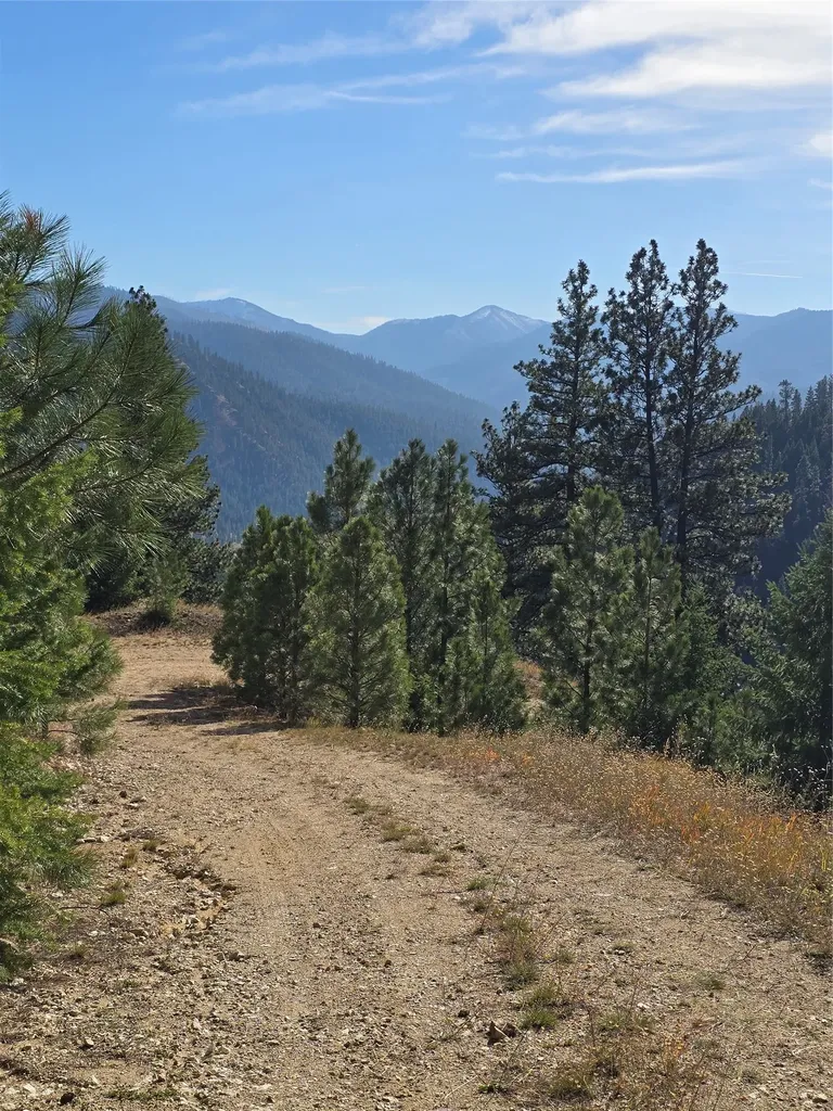 Nhn Baker Trail Road Darby MT 59829
