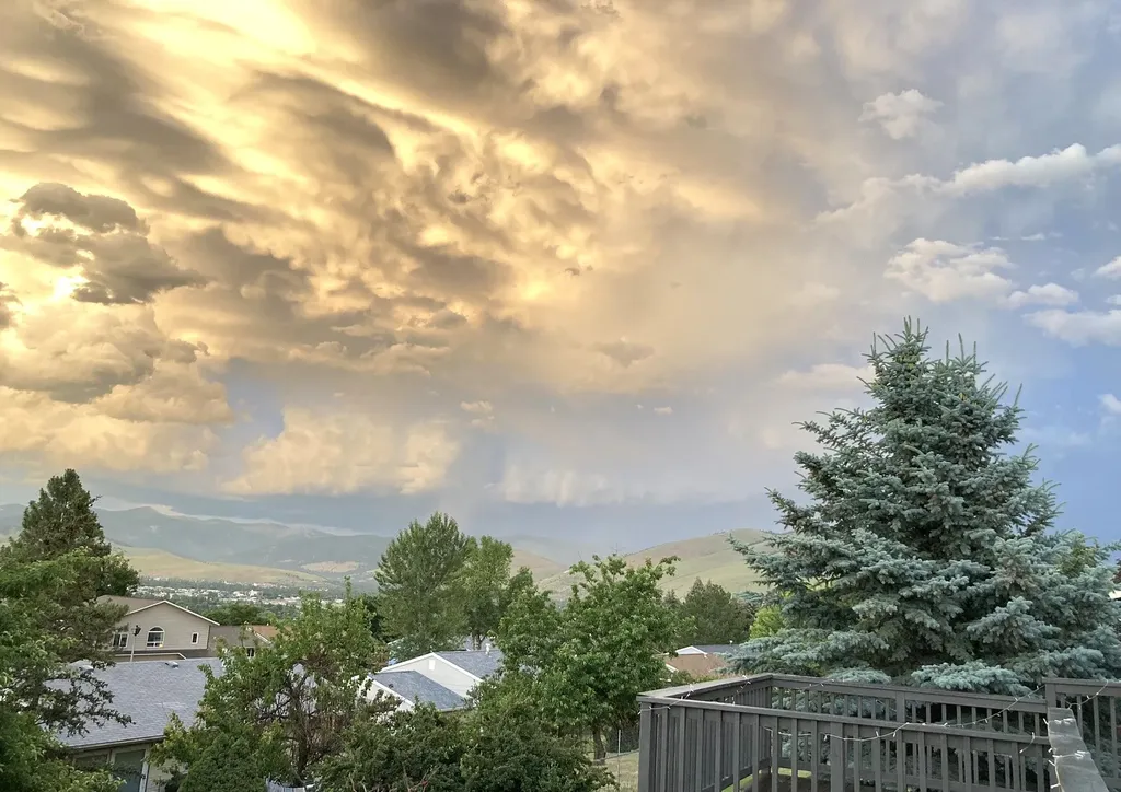 2240 E Vista Drive Missoula MT 59803