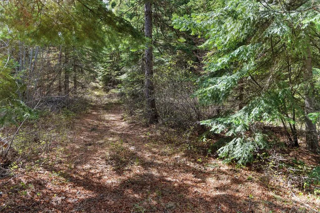 80 Lone Wolf Trail Lakeside MT 59922