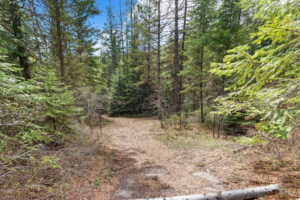 80 Lone Wolf Trail Lakeside MT 59922