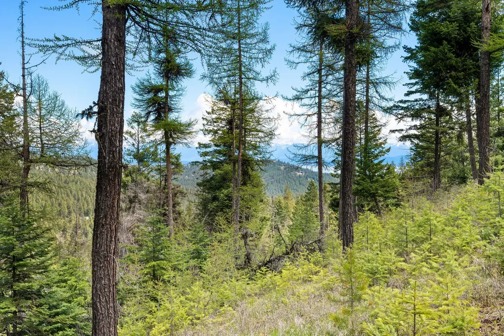 80 Lone Wolf Trail Lakeside MT 59922