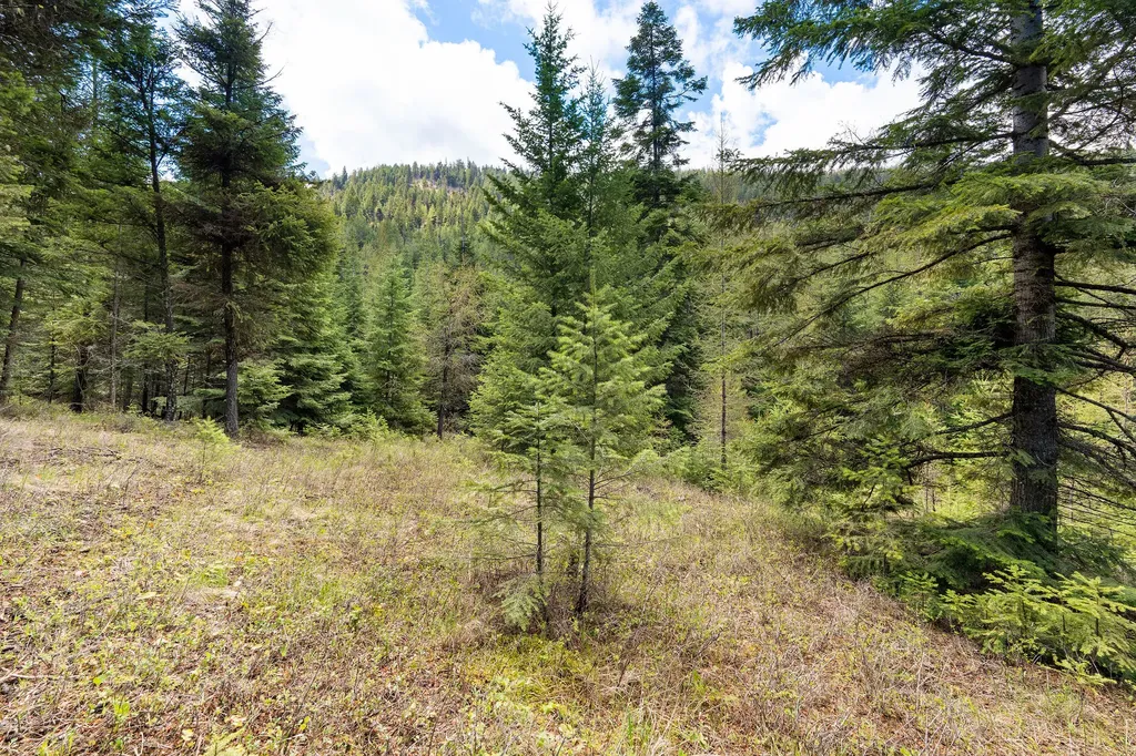 80 Lone Wolf Trail Lakeside MT 59922