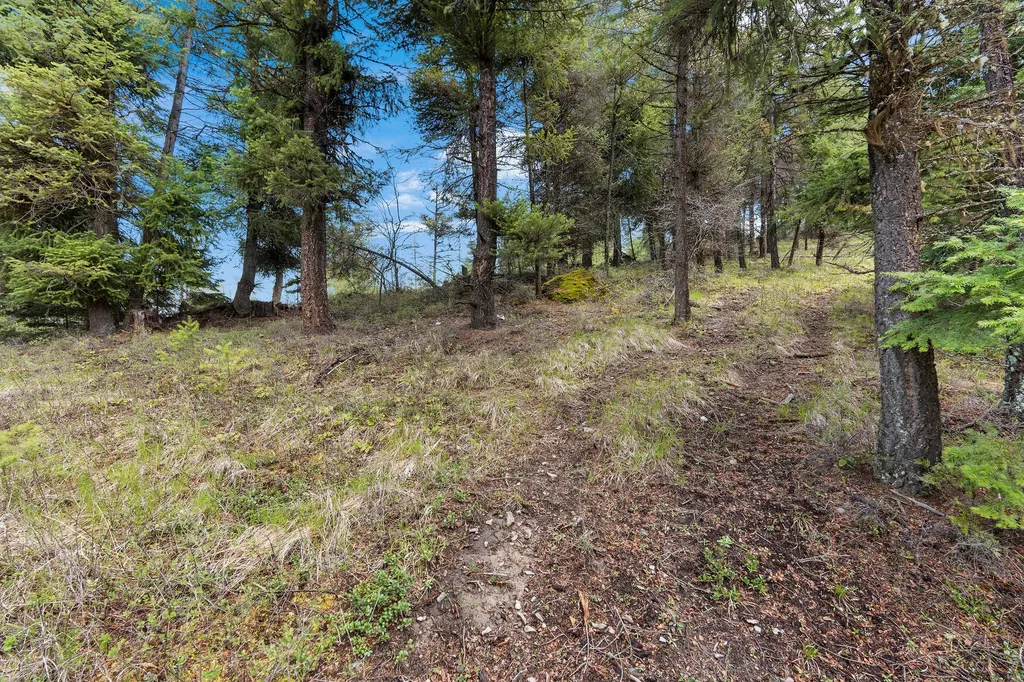 80 Lone Wolf Trail Lakeside MT 59922