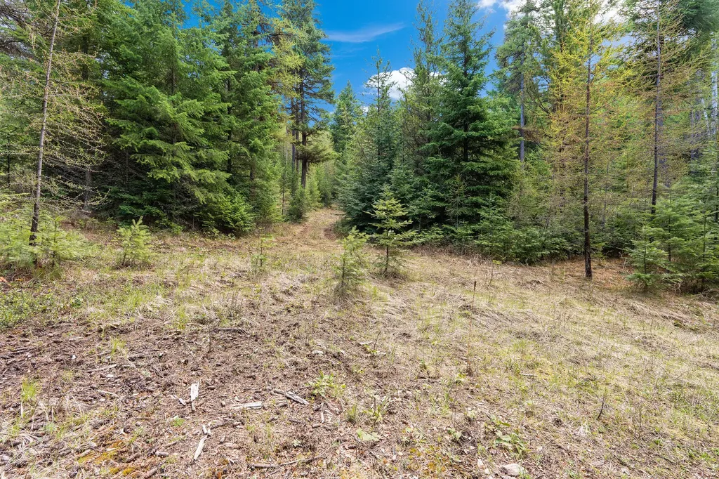 80 Lone Wolf Trail Lakeside MT 59922
