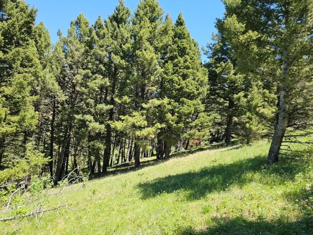 Tbd Corbin Road Jefferson City MT 59638