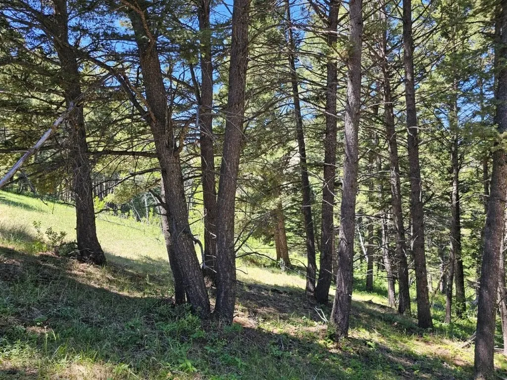 Tbd Corbin Road Jefferson City MT 59638