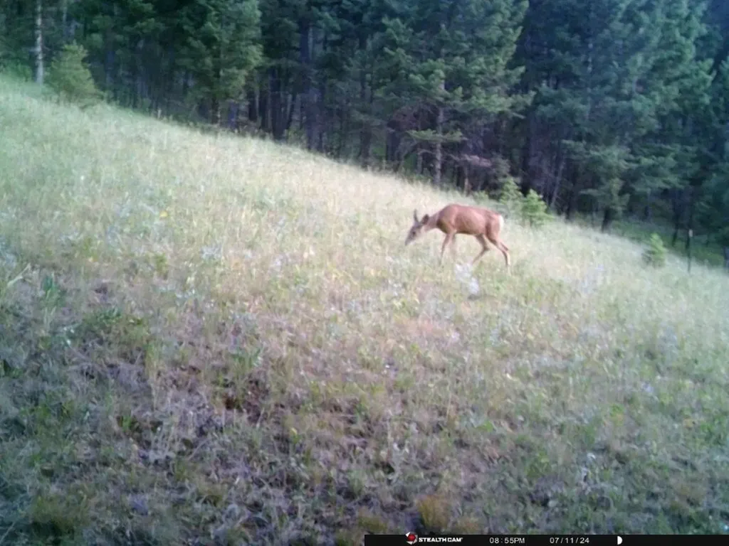 Tbd Corbin Road Jefferson City MT 59638