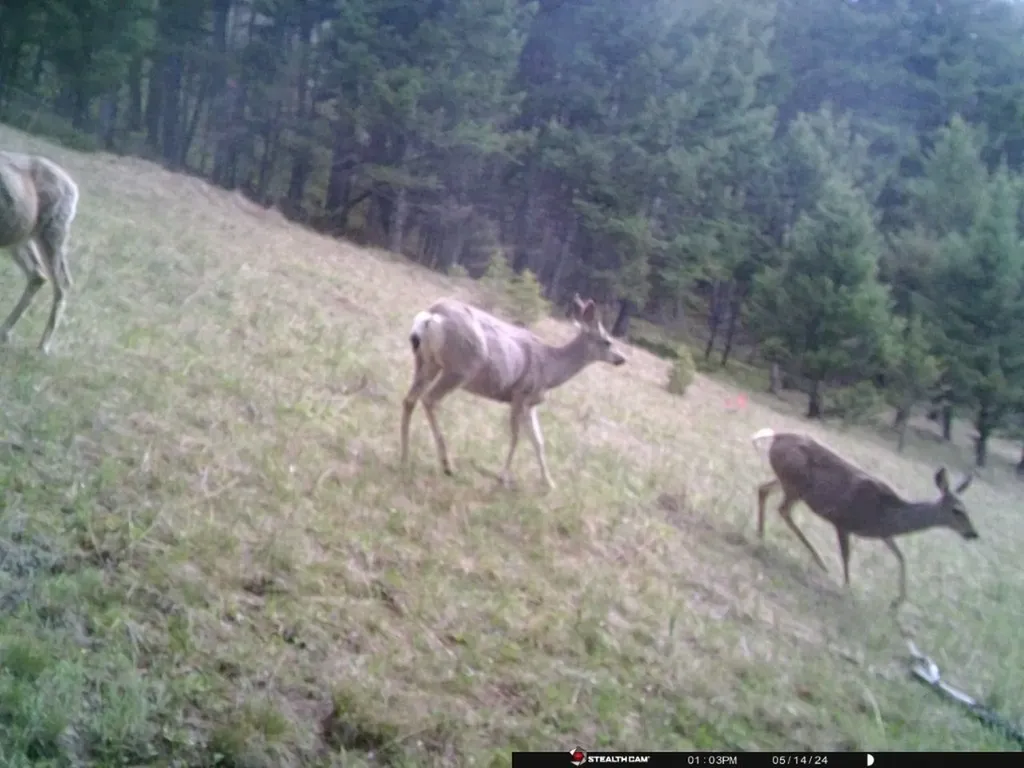 Tbd Corbin Road Jefferson City MT 59638