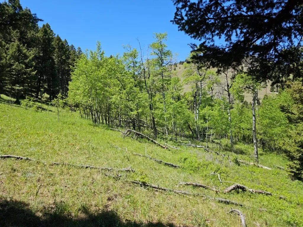 Tbd Corbin Road Jefferson City MT 59638