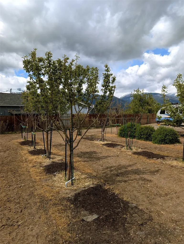 322 Hadli Court Stevensville MT 59870