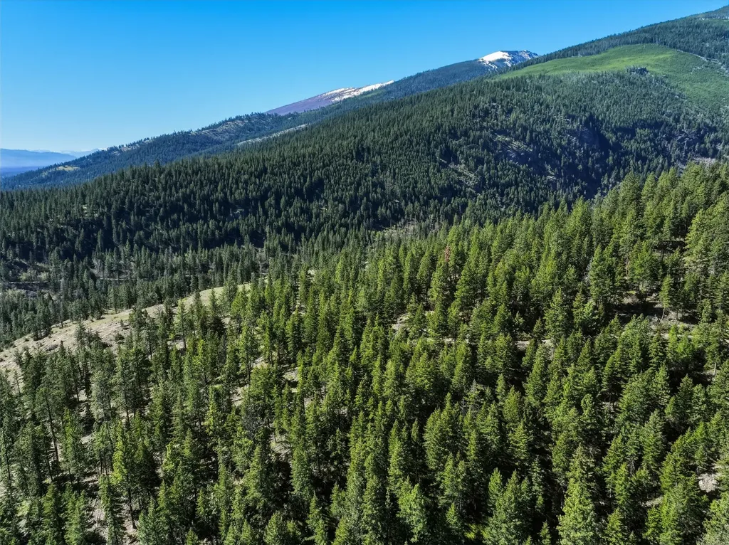 Tract 29a Castle View Drive Victor MT 59875