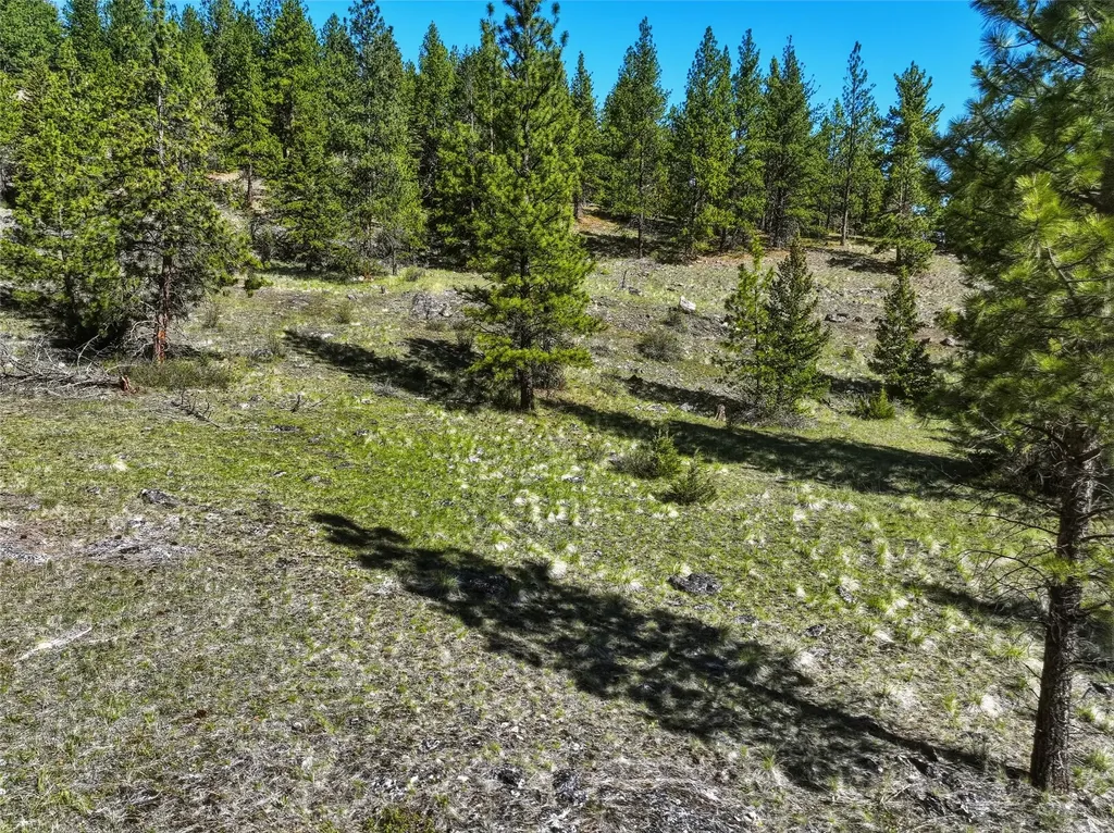 Tract 29a Castle View Drive Victor MT 59875