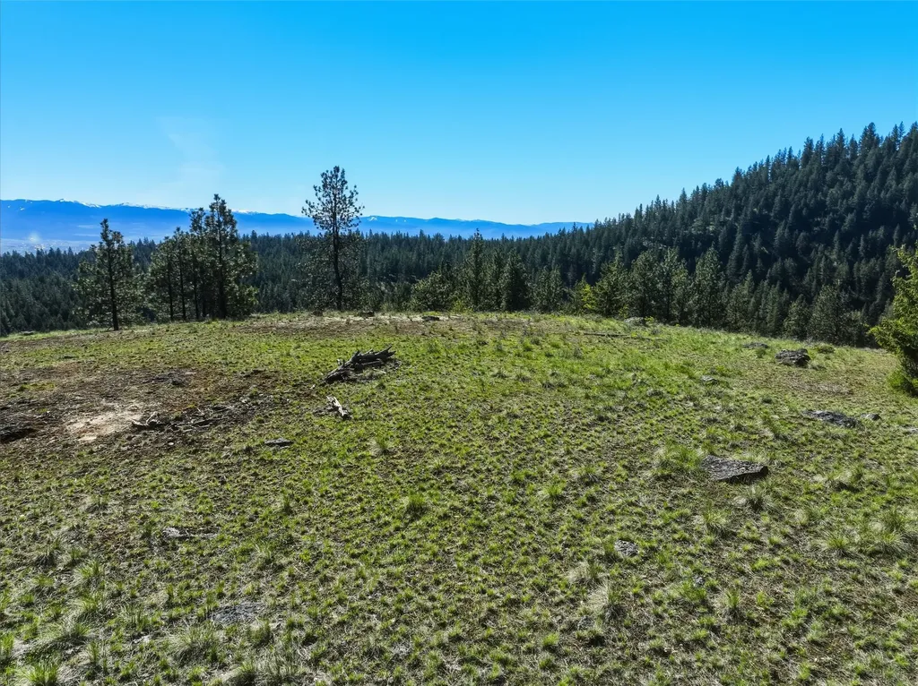 Tract 29a Castle View Drive Victor MT 59875
