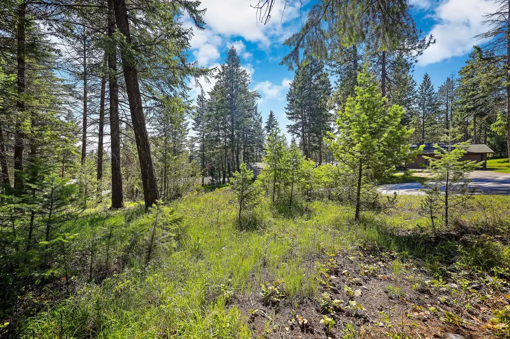 267 Lakeview Drive Lakeside MT 59922
