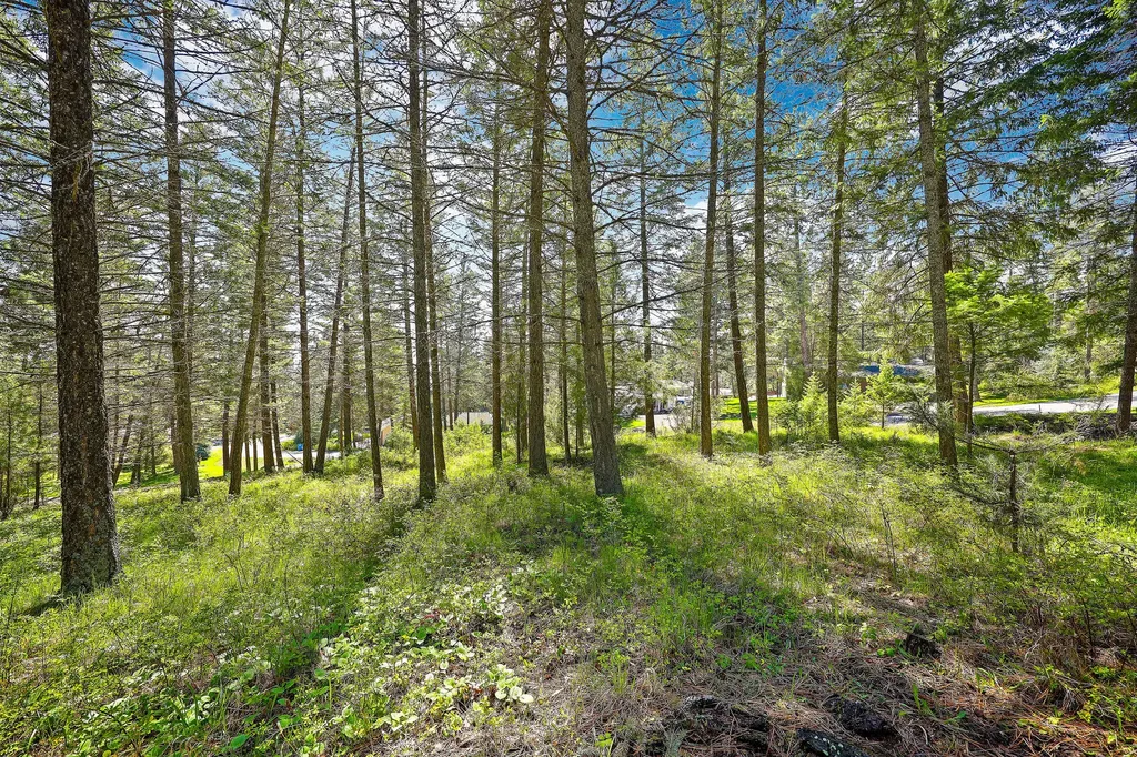267 Lakeview Drive Lakeside MT 59922