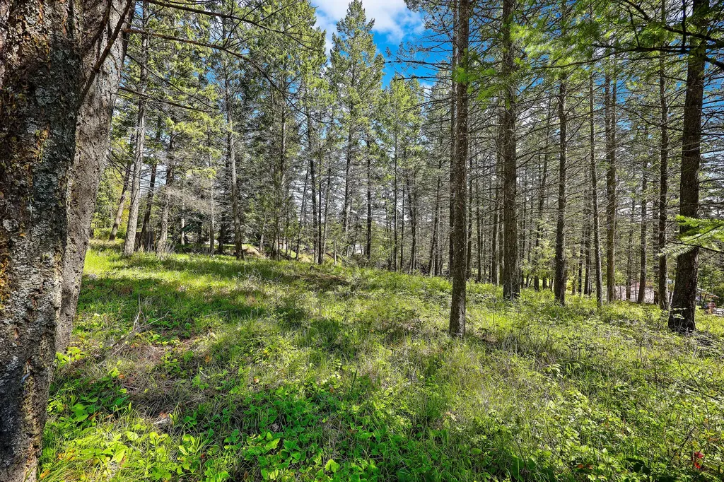 267 Lakeview Drive Lakeside MT 59922