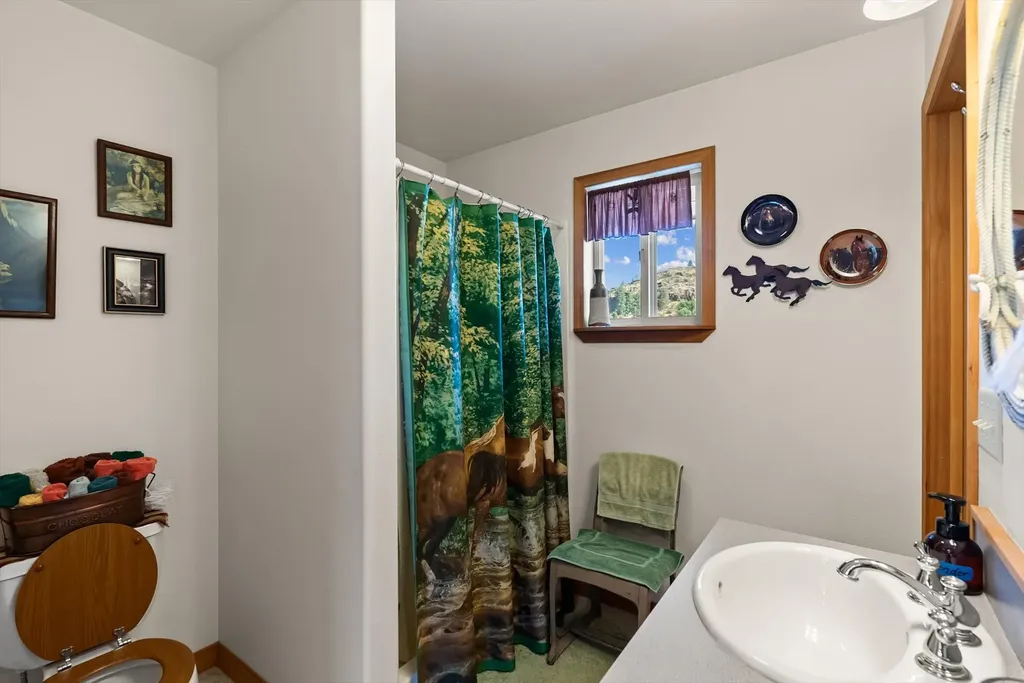 4 Sunset Court Plains MT 59859