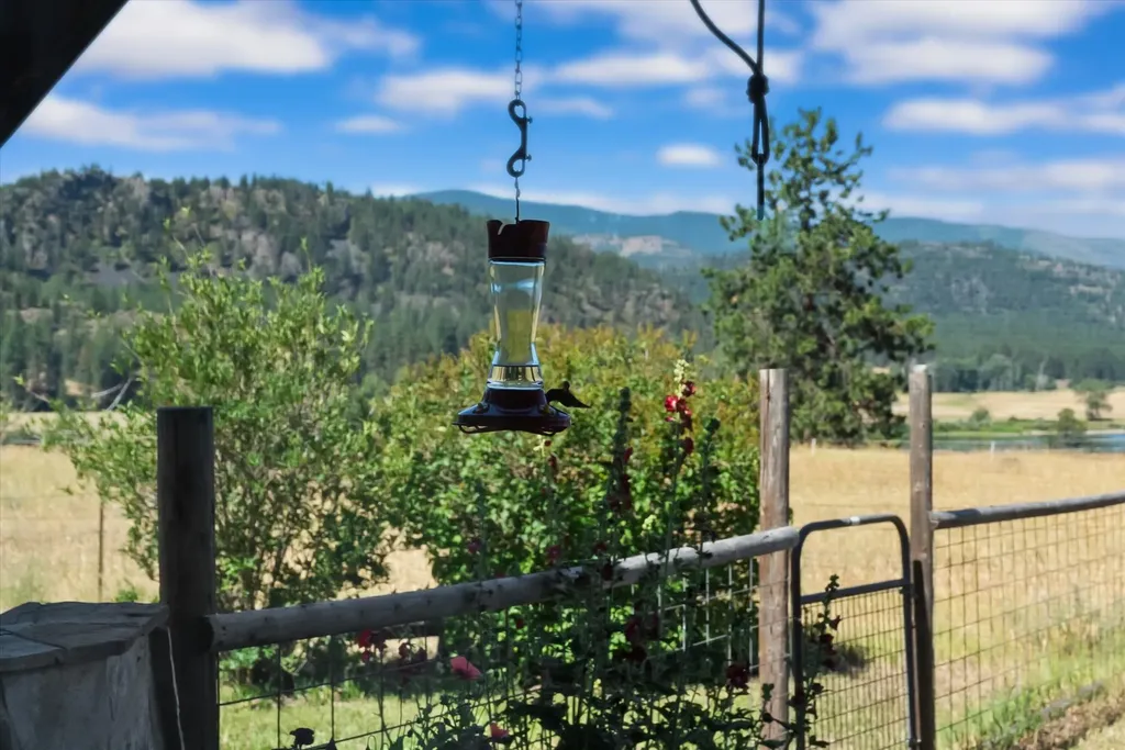 4 Sunset Court Plains MT 59859