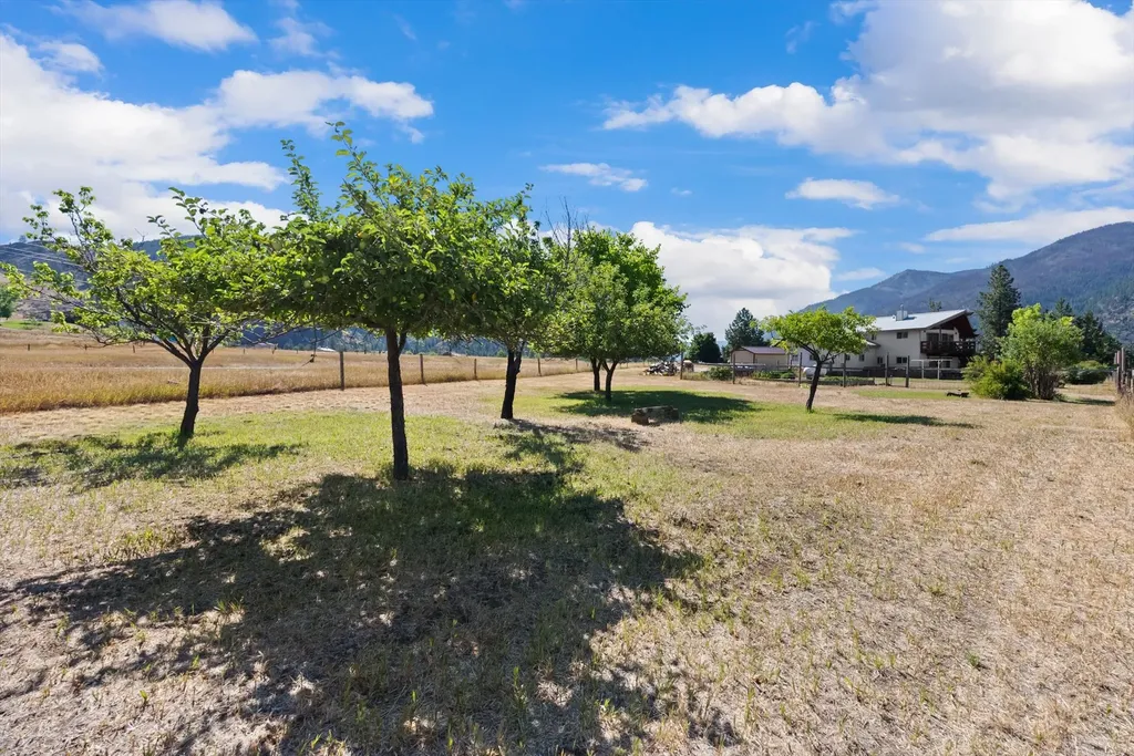 4 Sunset Court Plains MT 59859