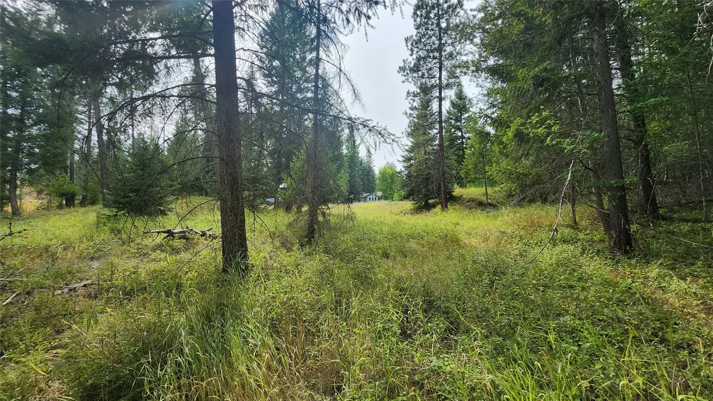 84 Treasure Mountain Lane Libby MT 59923