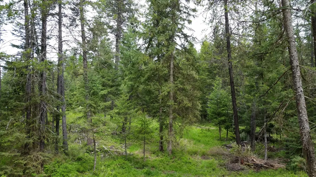 84 Treasure Mountain Lane Libby MT 59923