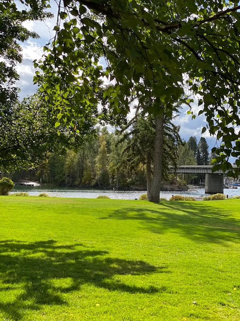 180 Vista Lane Bigfork MT 59911