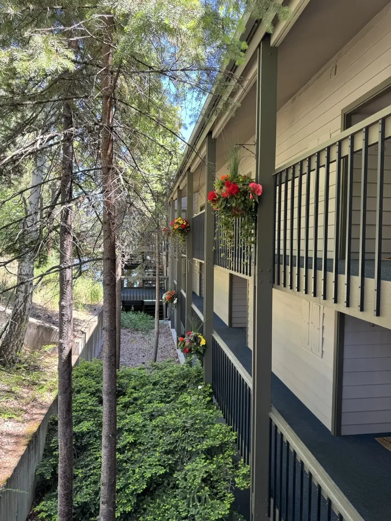 180 Vista Lane Bigfork MT 59911