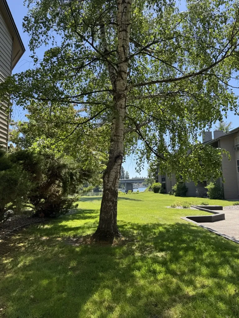 180 Vista Lane Bigfork MT 59911
