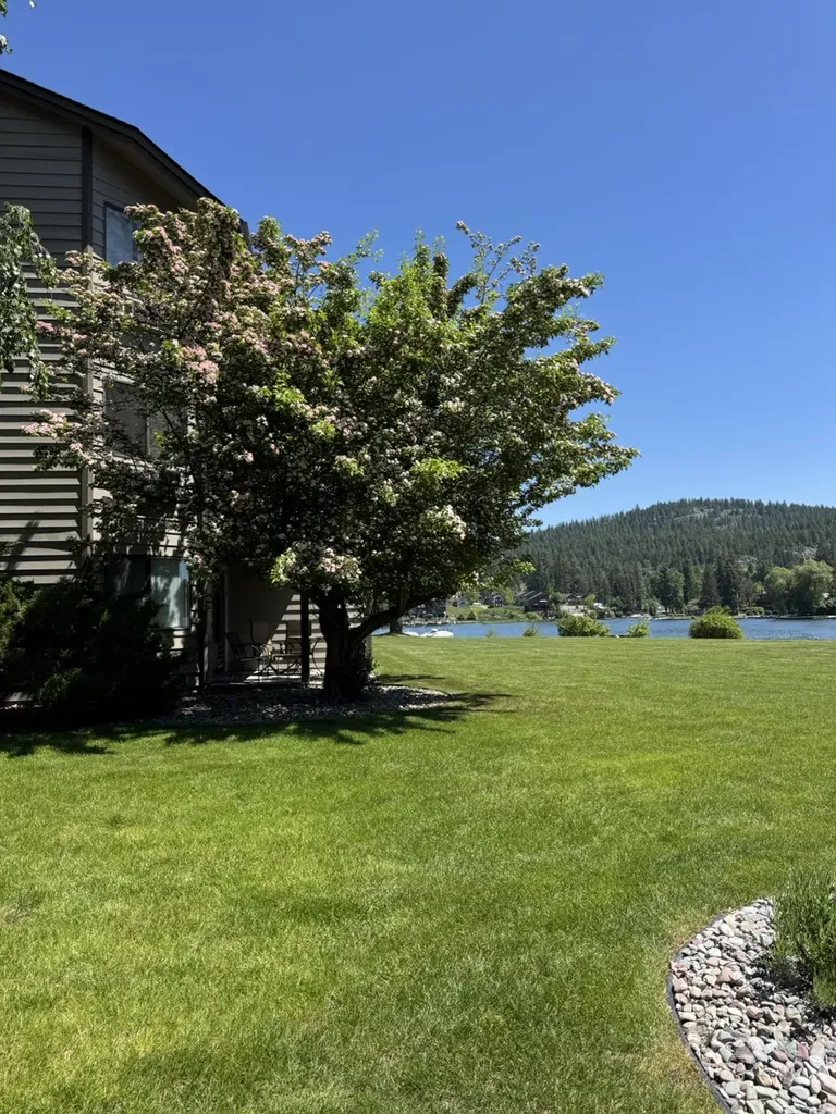 180 Vista Lane Bigfork MT 59911