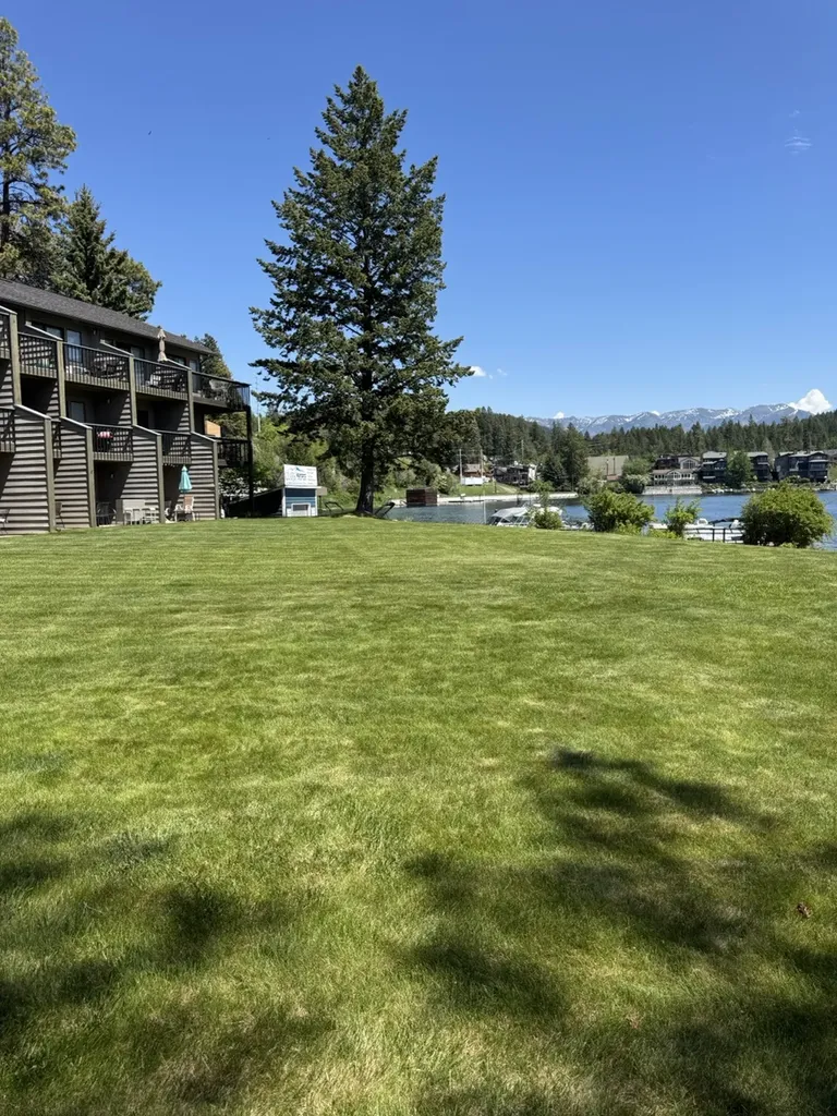 180 Vista Lane Bigfork MT 59911