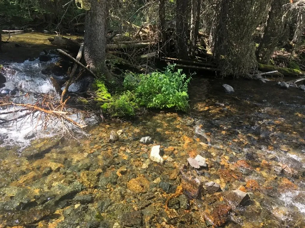 7 S Boulder Road Cardwell MT 59721