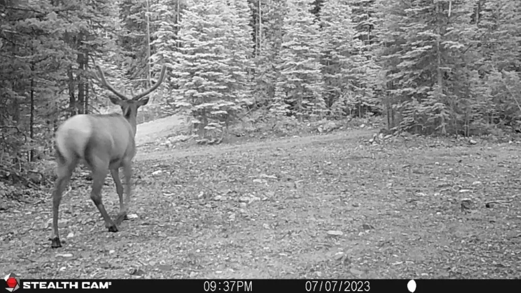 7 S Boulder Road Cardwell MT 59721