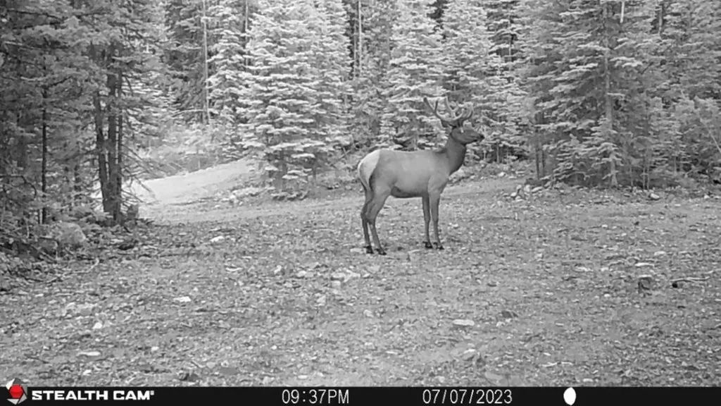 7 S Boulder Road Cardwell MT 59721